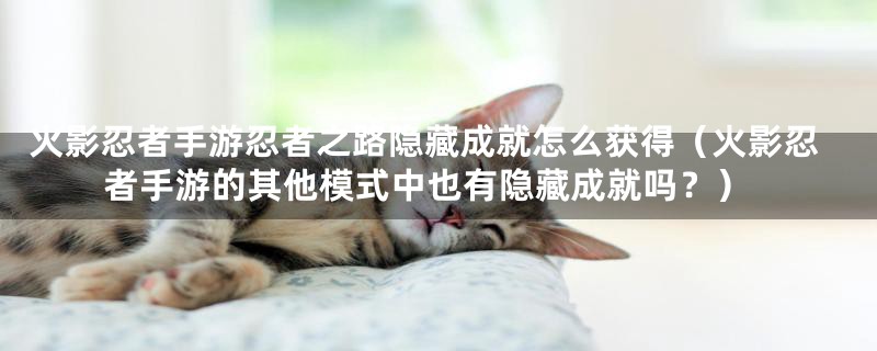 火影忍者手游忍者之路隐藏成就怎么获得（火影忍者手游的其他模式中也有隐藏成就吗？）