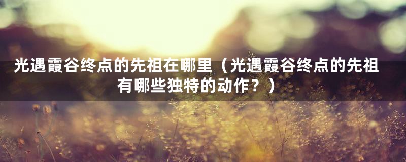 光遇霞谷终点的先祖在哪里(光遇霞谷终点的先祖有哪些独特的动作?)