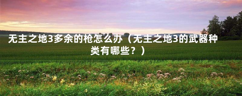 无主之地3多余的枪怎么办(无主之地3的武器种类有哪些?)