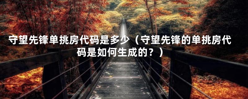 守望先锋单挑房代码是多少(守望先锋的单挑房代码是如何生成的?)