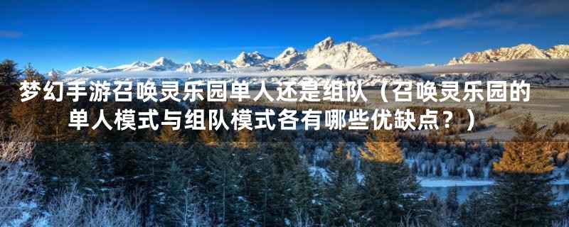 梦幻手游召唤灵乐园单人还是组队(召唤灵乐园的单人模式与组队模式各有哪些优缺点?)