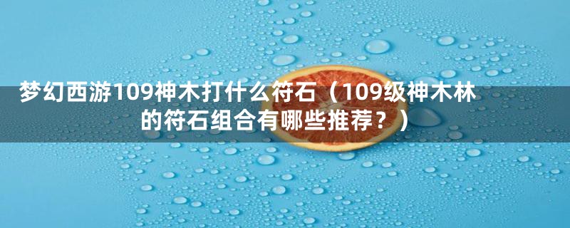 梦幻西游109神木打什么符石(109级神木林的符石组合有哪些推荐?)