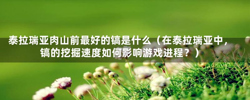 泰拉瑞亚肉山前最好的镐是什么(在泰拉瑞亚中,镐的挖掘速度如何影响游戏进程?)