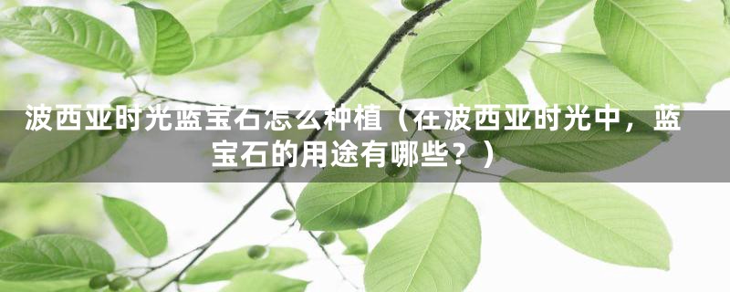 波西亚时光蓝宝石怎么种植(在波西亚时光中,蓝宝石的用途有哪些?)