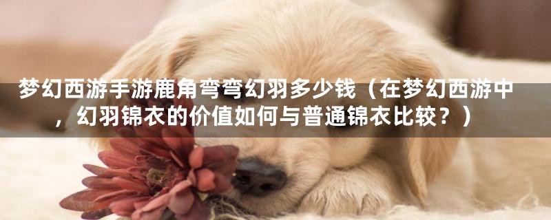 梦幻西游手游鹿角弯弯幻羽多少钱(在梦幻西游中,幻羽锦衣的价值如何与普通锦衣比较?)