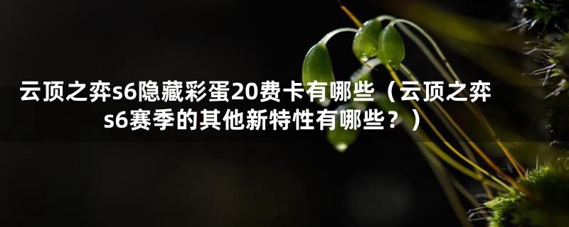 云顶之弈s6隐藏彩蛋20费卡有哪些(云顶之弈s6赛季的其他新特性有哪些?)
