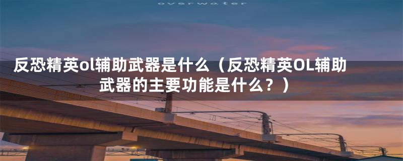 反恐精英ol辅助武器是什么(反恐精英OL辅助武器的主要功能是什么?)