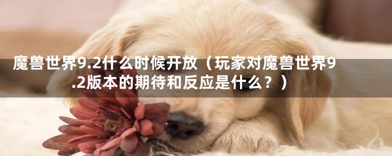 魔兽世界9.2什么时候开放(玩家对魔兽世界9.2版本的期待和反应是什么?)