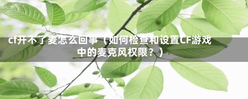 cf开不了麦怎么回事(如何检查和设置CF游戏中的麦克风权限?)