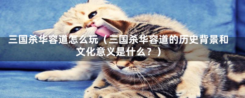 三国杀华容道怎么玩(三国杀华容道的历史背景和文化意义是什么?)