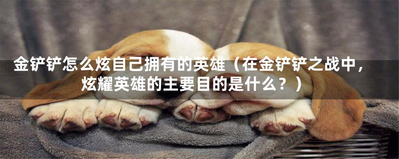 金铲铲怎么炫自己拥有的英雄(在金铲铲之战中,炫耀英雄的主要目的是什么?)