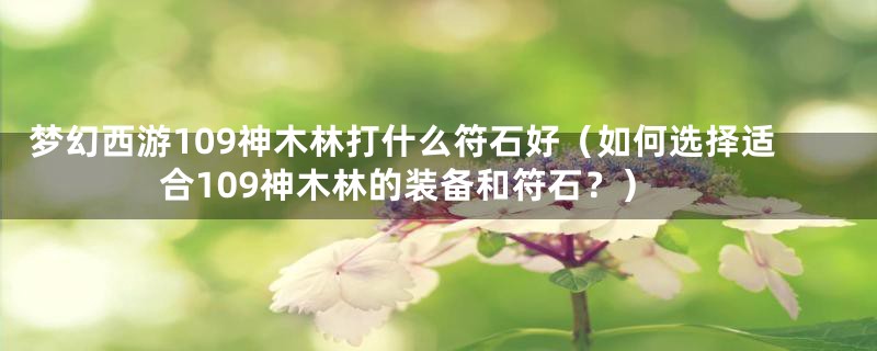 梦幻西游109神木林打什么符石好(如何选择适合109神木林的装备和符石?)