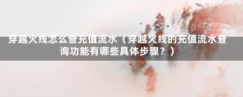 穿越火线怎么查充值流水(穿越火线的充值流水查询功能有哪些具体步骤?)