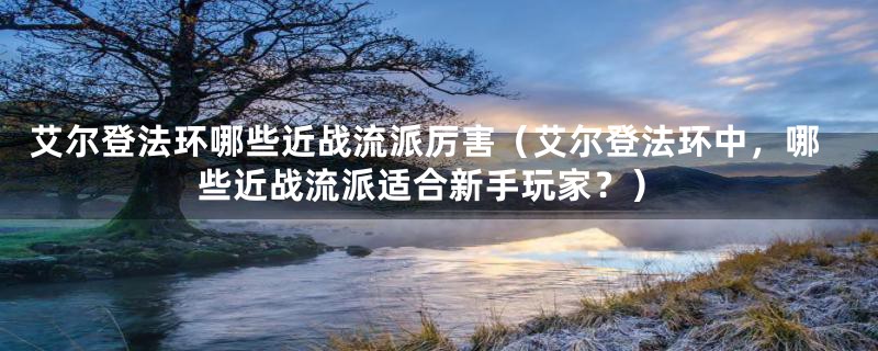 艾尔登法环哪些近战流派厉害(艾尔登法环中,哪些近战流派适合新手玩家?)