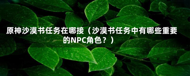 原神沙漠书任务在哪接(沙漠书任务中有哪些重要的NPC角色?)