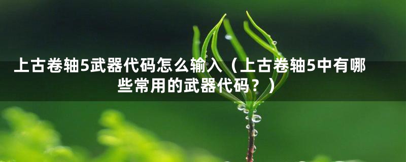 上古卷轴5武器代码怎么输入(上古卷轴5中有哪些常用的武器代码?)