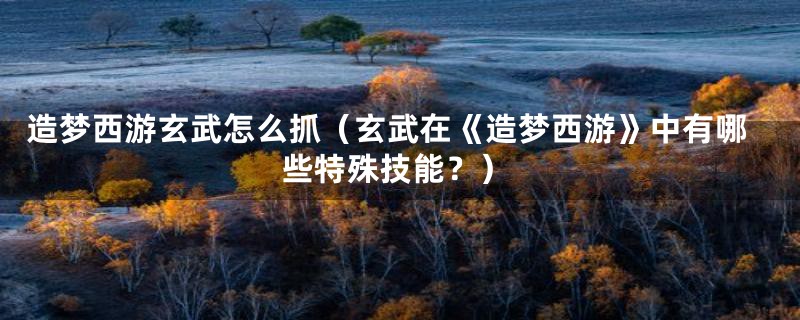 造梦西游玄武怎么抓(玄武在《造梦西游》中有哪些特殊技能?)