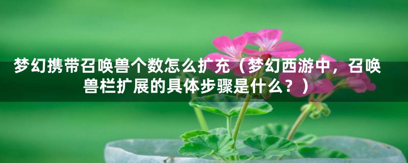 梦幻携带召唤兽个数怎么扩充(梦幻西游中,召唤兽栏扩展的具体步骤是什么?)