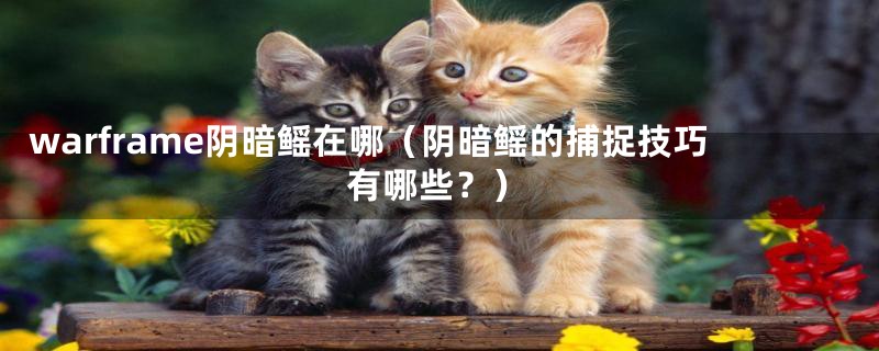 warframe阴暗鳐在哪(阴暗鳐的捕捉技巧有哪些?)
