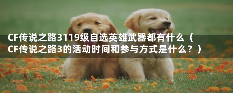 CF传说之路3119级自选英雄武器都有什么(CF传说之路3的活动时间和参与方式是什么?)