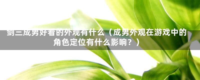 剑三成男好看的外观有什么(成男外观在游戏中的角色定位有什么影响?)