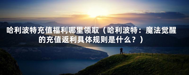 哈利波特充值福利哪里领取(哈利波特:魔法觉醒的充值返利具体规则是什么?)