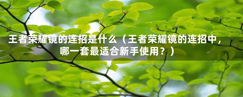 王者荣耀镜的连招是什么(王者荣耀镜的连招中,哪一套最适合新手使用?)