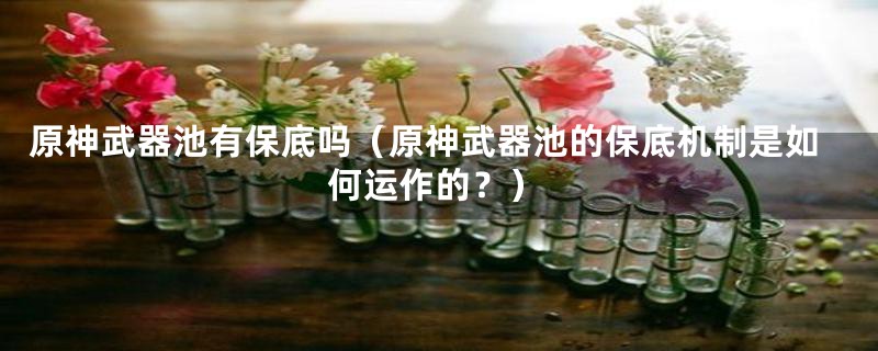 原神武器池有保底吗(原神武器池的保底机制是如何运作的?)