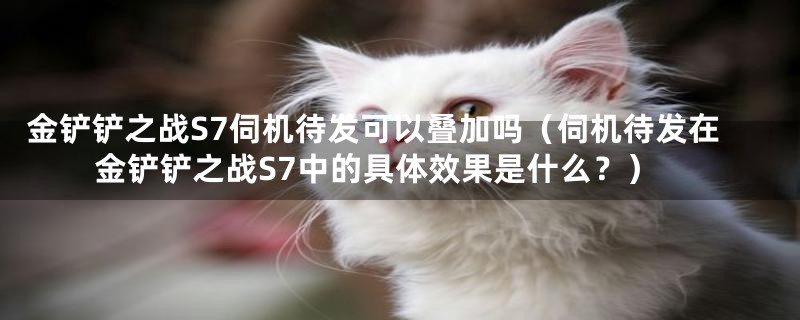 金铲铲之战S7伺机待发可以叠加吗(伺机待发在金铲铲之战S7中的具体效果是什么?)