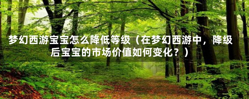 梦幻西游宝宝怎么降低等级(在梦幻西游中,降级后宝宝的市场价值如何变化?)
