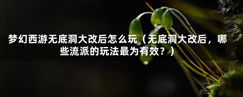 梦幻西游无底洞大改后怎么玩(无底洞大改后,哪些流派的玩法最为有效?)