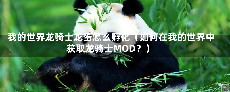 我的世界龙骑士龙蛋怎么孵化(如何在我的世界中获取龙骑士MOD?)