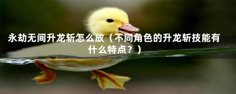 永劫无间升龙斩怎么放(不同角色的升龙斩技能有什么特点?)