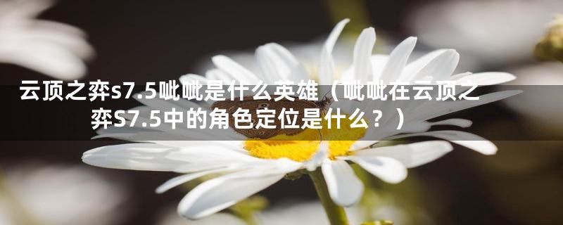 云顶之弈s7.5呲呲是什么英雄(呲呲在云顶之弈S7.5中的角色定位是什么?)