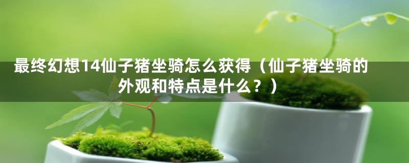 最终幻想14仙子猪坐骑怎么获得(仙子猪坐骑的外观和特点是什么?)