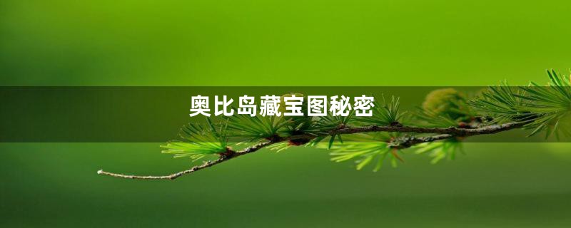 奥比岛藏宝图秘密