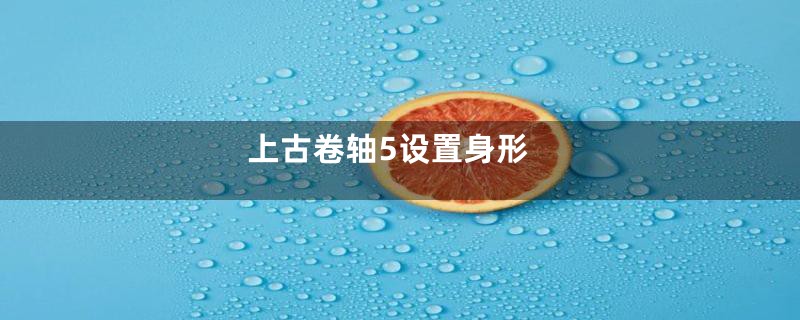 上古卷轴5设置身形