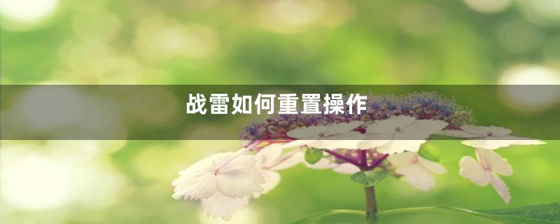 战雷如何重置操作