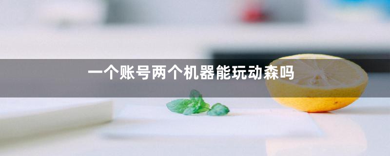 一个账号两个机器能玩动森吗
