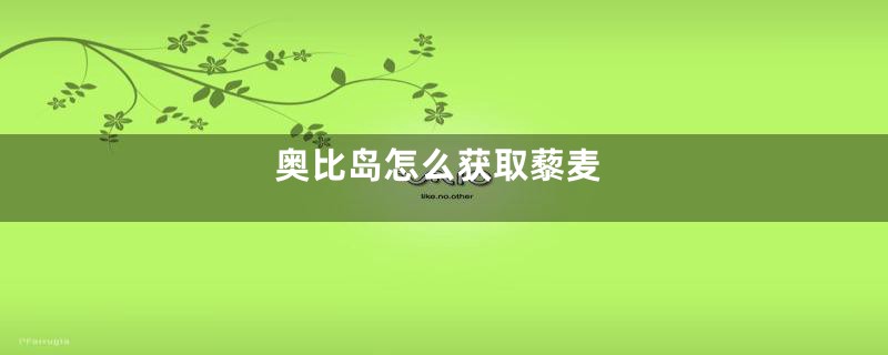 奥比岛怎么获取藜麦