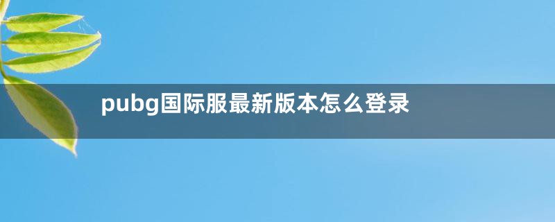 pubg国际服最新版本怎么登录
