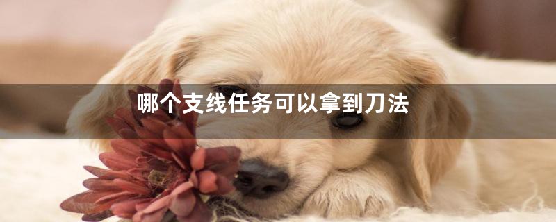 哪个支线任务可以拿到刀法