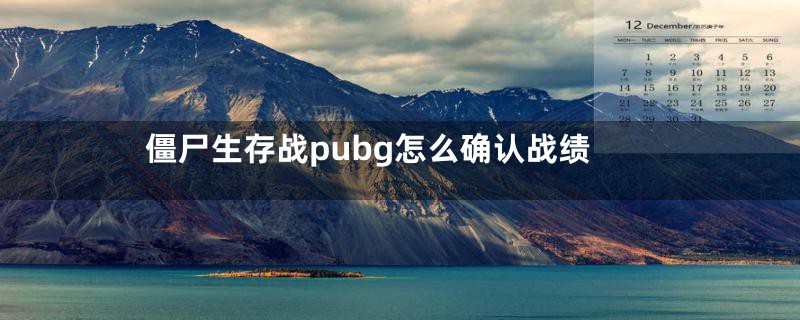 僵尸生存战pubg怎么确认战绩