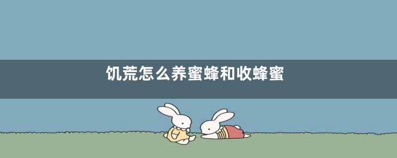 饥荒怎么养蜜蜂和收蜂蜜