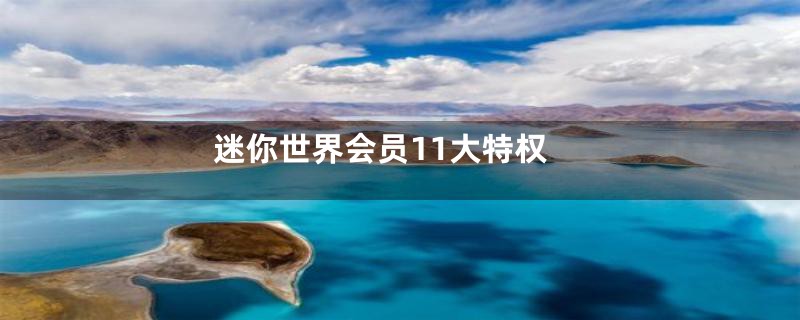 迷你世界会员11大特权