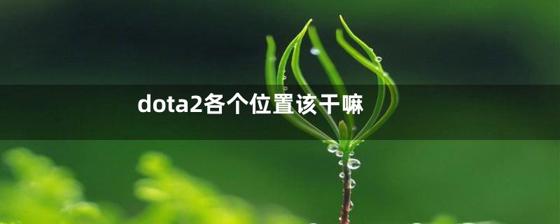 dota2各个位置该干嘛