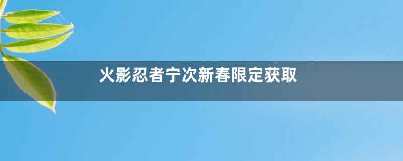 火影忍者宁次新春限定获取