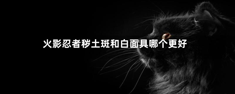 火影忍者秽土斑和白面具哪个更好