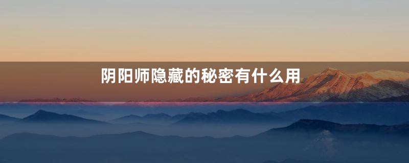 阴阳师隐藏的秘密有什么用