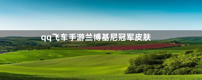 qq飞车手游兰博基尼冠军皮肤